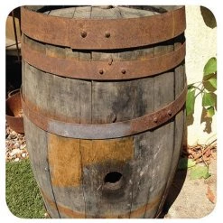 PEUGEOT PSP 2 Brosses Pour Rénovateur à Lanières Abrasives Grain 40 D. 120 Mm L. 100 Mm - Ponçage -Ponceuse et polisseuse Soldes 20977651 3